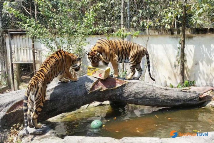 Phnom Tamao Wildlife Rescue Center