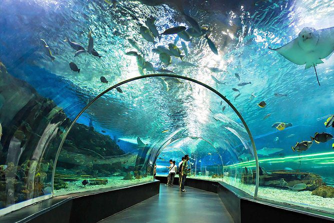manila ocean park