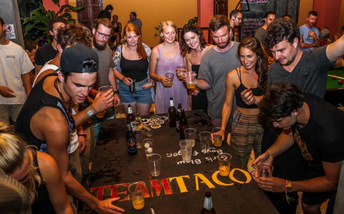 taco shack hostel koh tao