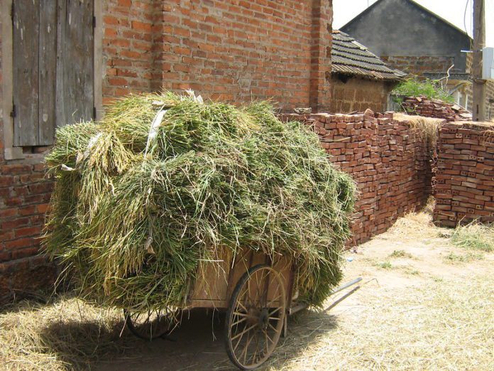 Duong Lam Ancient Village