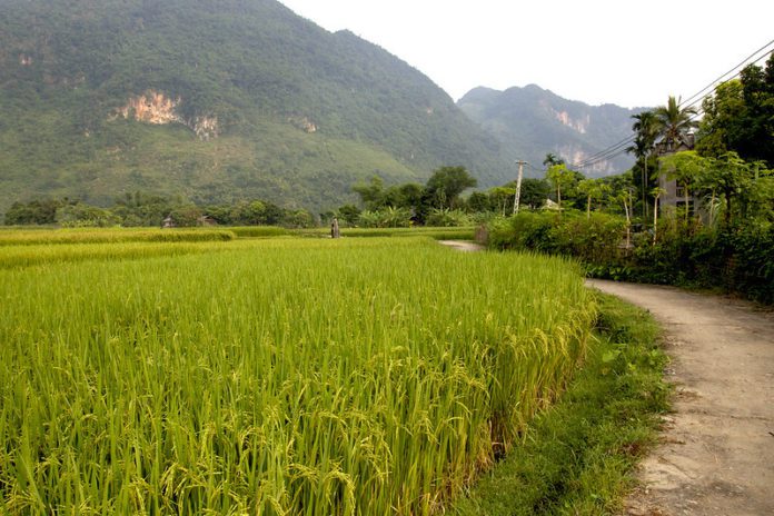 Mai Chau Valley, Vietnam