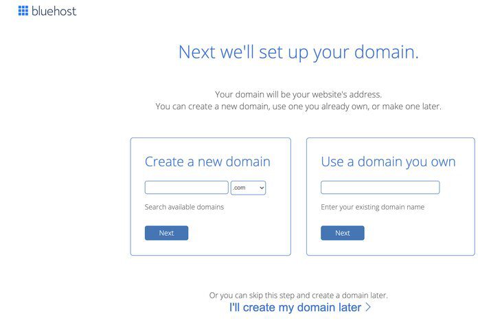 domain name with bluehost