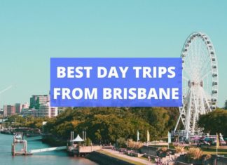 21 Best Day Trips from Brisbane BEST DAY TRIPS FROM BRISBANE