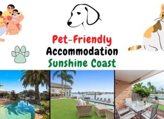 10 Best Pet-Friendly Accommodations on the Sunshine Coast Pet-Friendly Accommodation Sunshine Coast