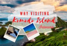 9 Reasons to Visit the Magical Komodo Island, Indonesia visit komodo island
