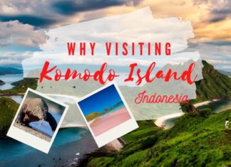 9 Reasons to Visit the Magical Komodo Island, Indonesia visit komodo island