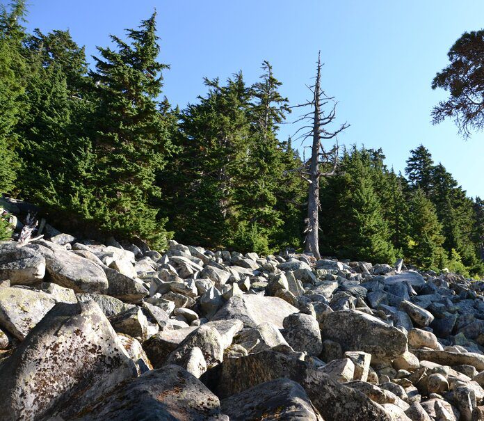 Mount Pilchuck hiking trail