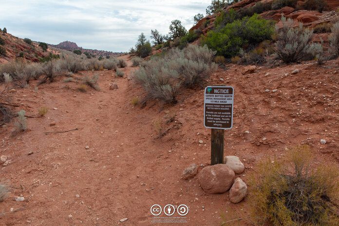 The Wave Trailhead