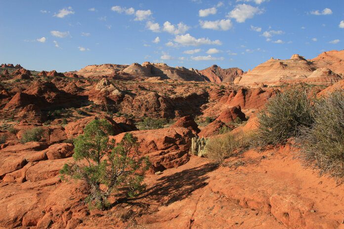 hike to the wave arizona