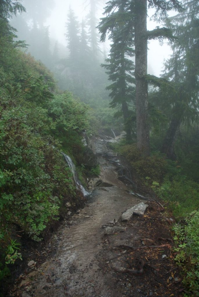 hiking Mount Pilchuck