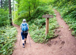 What is a Switchback in Hiking? A Complete Guide what is a switchback in hiking
