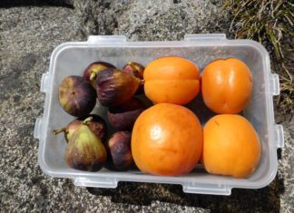 What to Eat Before a Hike? During and After Hiking Meals what to eat before a hike