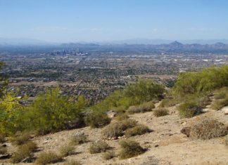 Hiking the Lookout Mountain Summit Trail, AZ – Does It Worth It? Lookout Mountain Summit Hike