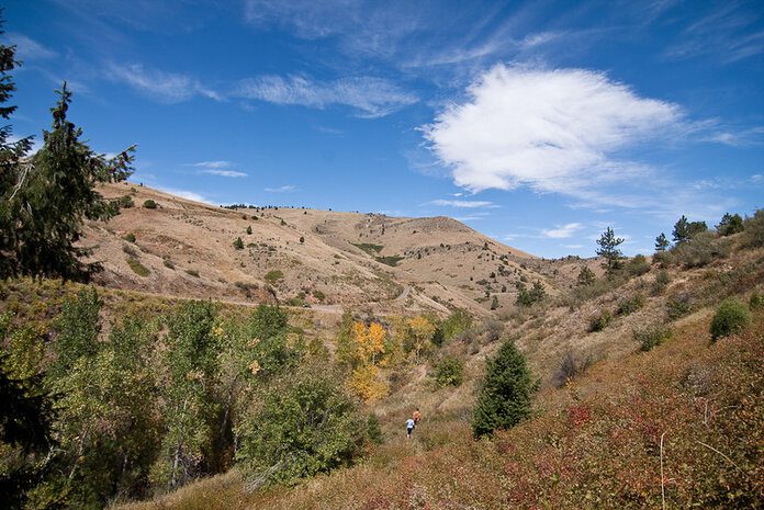 Mount Galbraith Hike