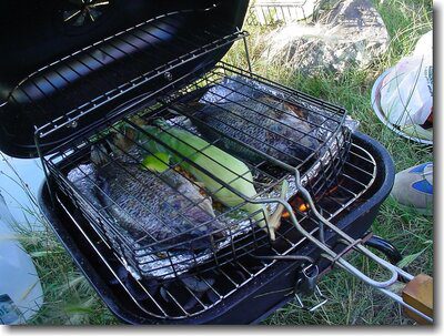 portable grill for camping