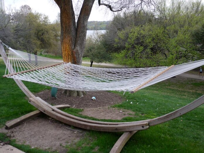 hammock in the woods