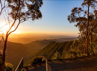 Most Scenic Hikes to Experience Across the Gold Coast Gold Coast Hike at Tamborine Mountain