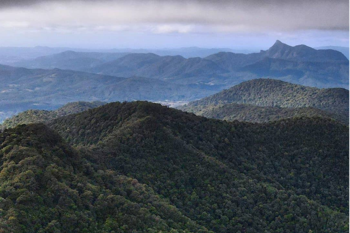 View of Mount Warning from World Heritage Lamington National Park